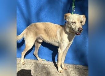 Edu, sucht seine Familie