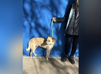 Edu, sucht seine Familie