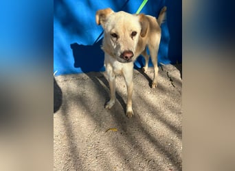 Edu, sucht seine Familie