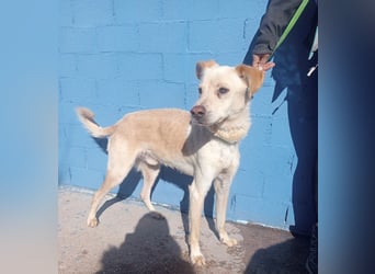 Edu, sucht seine Familie