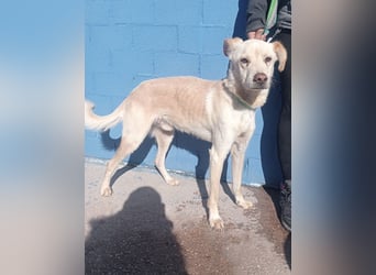 Edu, sucht seine Familie