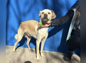 Edu, sucht seine Familie