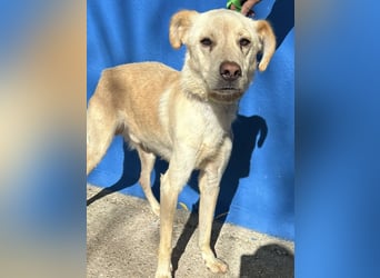 Edu, sucht seine Familie