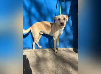 Edu, sucht seine Familie