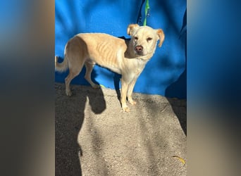 Edu, sucht seine Familie