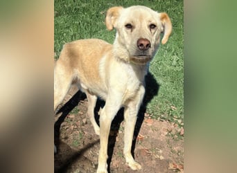 Edu, sucht seine Familie