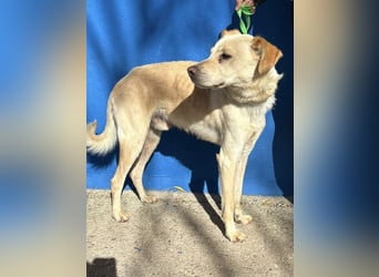 Edu, sucht seine Familie