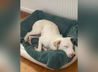 Yuki: wenn das Leben andere Pläne mit dir hat