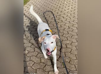 Yuki: wenn das Leben andere Pläne mit dir hat