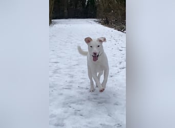 Yuki: wenn das Leben andere Pläne mit dir hat