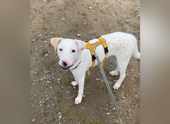 Yuki: wenn das Leben andere Pläne mit dir hat