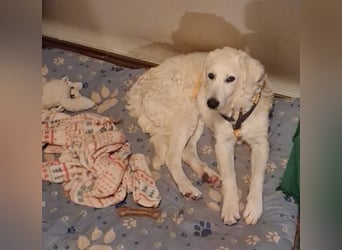 Greta: wer zeigt mir die bunte Welt? Greta: wer zeigt mir die bunte Welt?