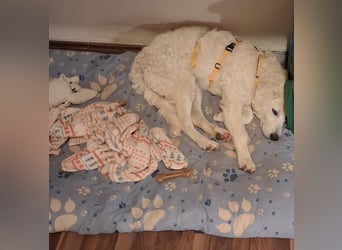 Greta: wer zeigt mir die bunte Welt? Greta: wer zeigt mir die bunte Welt?