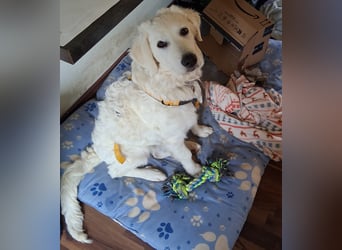 Greta: wer gibt mir Zeit? Greta: wer gibt mir Zeit?