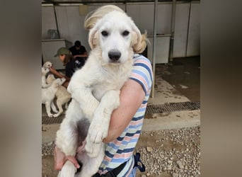 Greta: wer zeigt mir die bunte Welt? Greta: wer zeigt mir die bunte Welt?