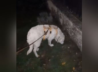 Greta: wer zeigt mir die bunte Welt? Greta: wer zeigt mir die bunte Welt?