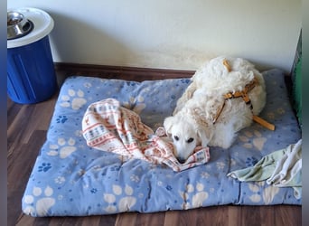 Greta: wer zeigt mir die bunte Welt? Greta: wer zeigt mir die bunte Welt?