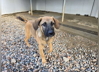 Vento: Spaß und gute Laune garantiert