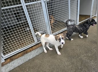 Ave: Spaß und gute Laune garantiert