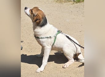 Gilda: erobert alle Herzen mit ihrer Fröhlichkeit