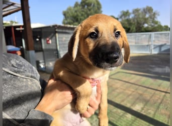 Egidio: freut sich auf ein Leben in einer Familie