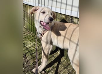 Fidor: Hallo, hier bin ich!