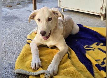 Kenba: ein Schatz für die ganze Familie