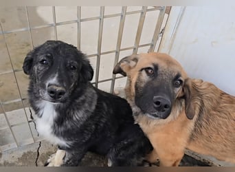 Pesca: Spaß und gute Laune garantiert