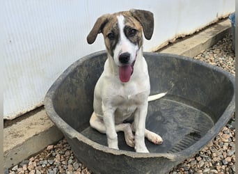 Ave: Spaß und gute Laune garantiert