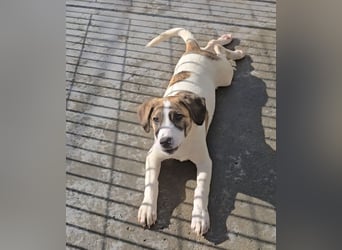 Ave: Spaß und gute Laune garantiert