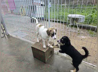 Ave: Spaß und gute Laune garantiert