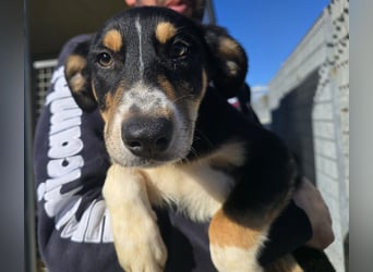 Betty: Hallo, hier bin ich!