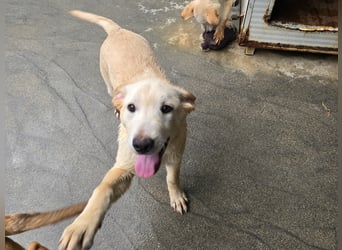 Fidor: Hallo, hier bin ich!