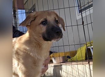 Egidio: freut sich auf ein Leben in einer Familie