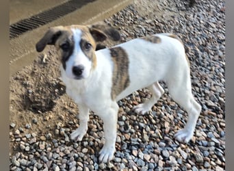 Ave: Spaß und gute Laune garantiert