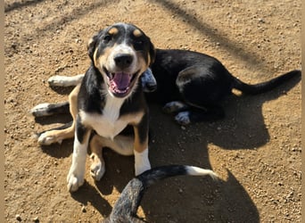 Betty: Eine für Alle