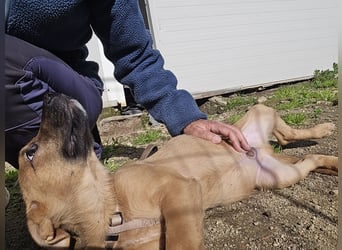 Fritz: er liebt das Leben