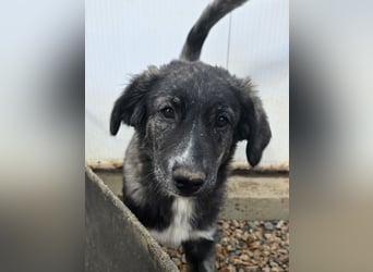 Pesca: Spaß und gute Laune garantiert