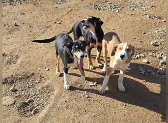 Billie: Hallo, hier bin ich!