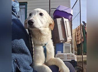 Kate: wird mein Leben bunt und schön?