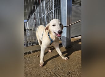 Kate: wird mein Leben bunt und schön?