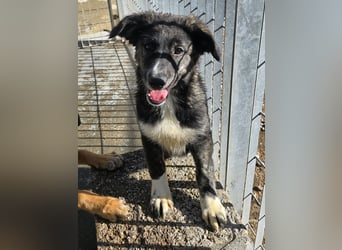 Pesca: Spaß und gute Laune garantiert