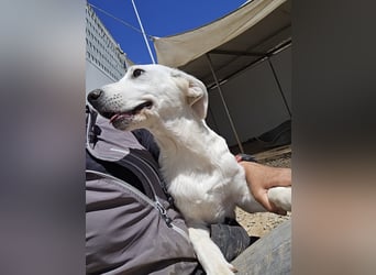 Lea: man muss sie einfach gern haben