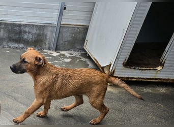 Fritz: er liebt das Leben