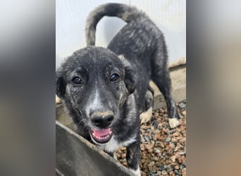 Pesca: Spaß und gute Laune garantiert