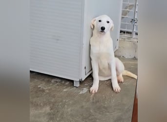 Kate: wird mein Leben bunt und schön?