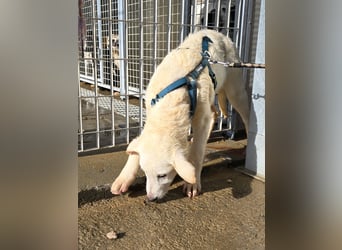 Kate: wird mein Leben bunt und schön?