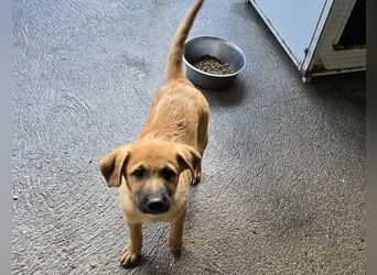 Egidio: freut sich auf ein Leben in einer Familie