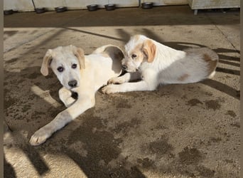 Noe: vom Flughafen ins schöne Leben