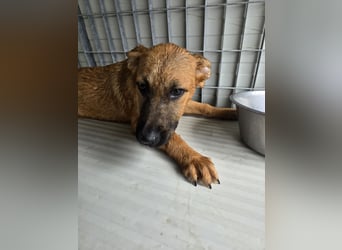 Fritz: er liebt das Leben